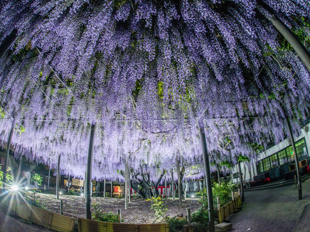 竹鼻別院