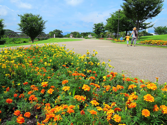 相模三川公園 相模三川公園