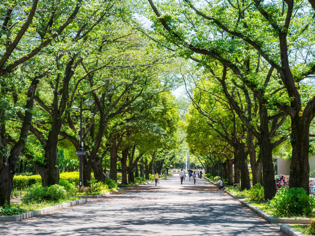府中の森公園