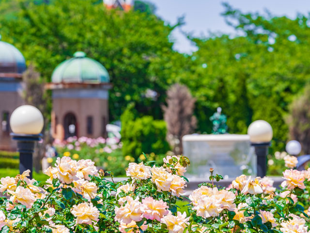 ヴェルニー公園