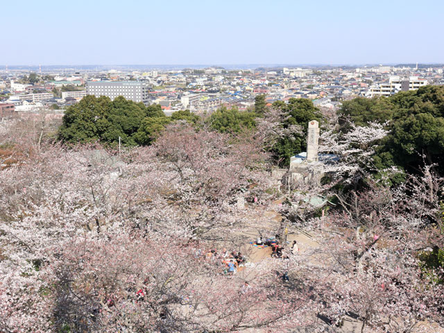 太田山公園 太田山公園
