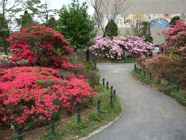 練馬区立 平成つつじ公園