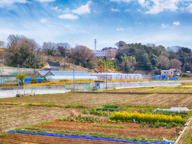 舞岡ふるさと村