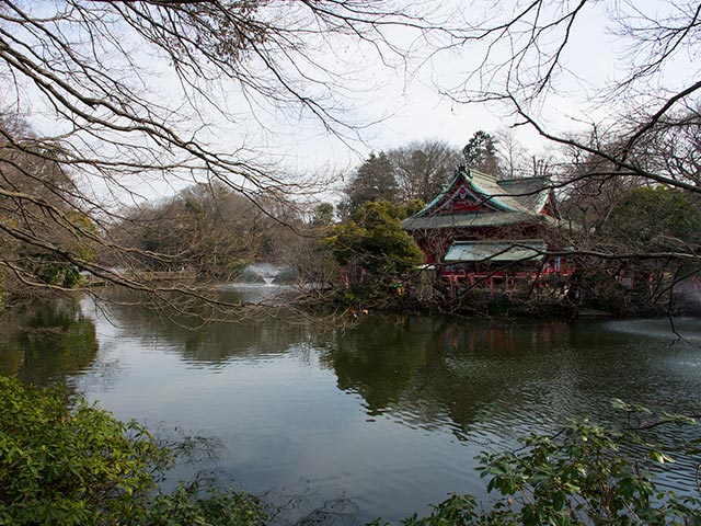 井の頭恩賜公園