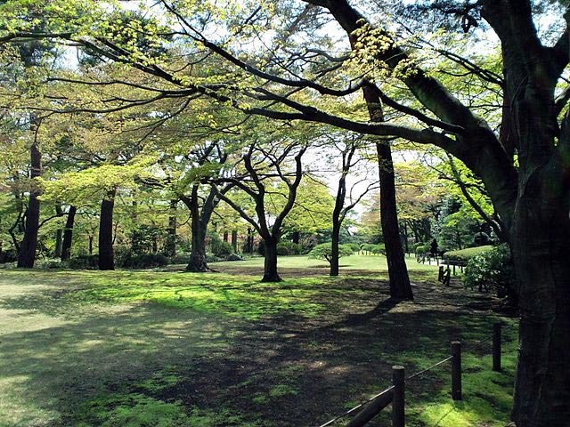 殿ヶ谷戸庭園