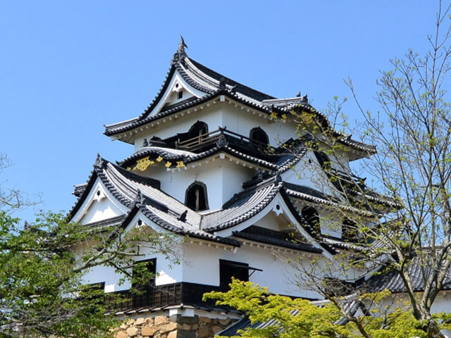 彦根城 彦根城