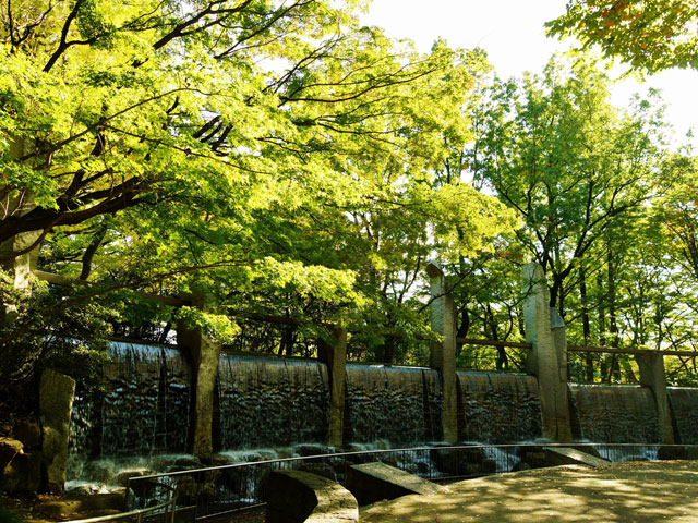 蚕糸の森公園 蚕糸の森公園