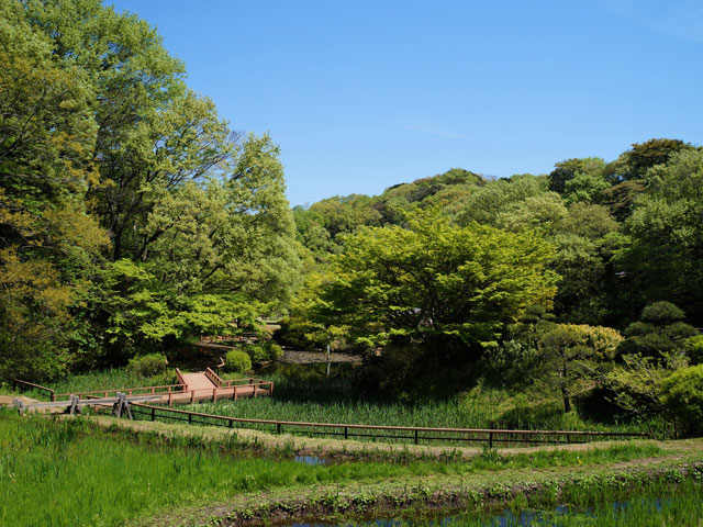 久良岐公園