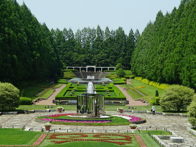 相模原公園 相模原公園