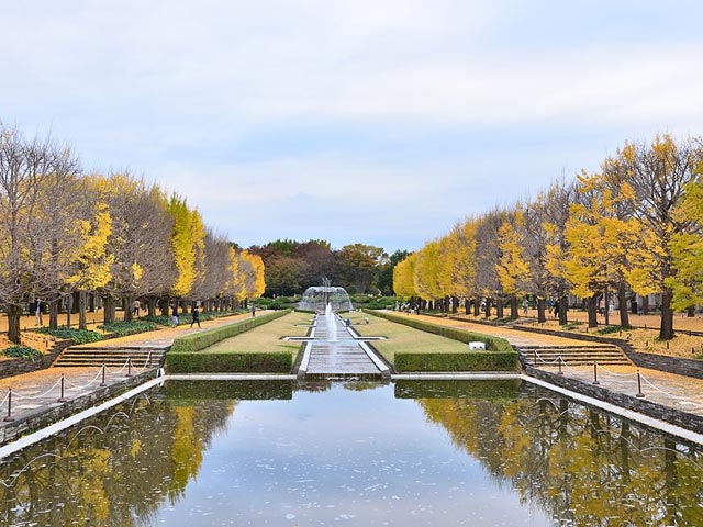 国営昭和記念公園