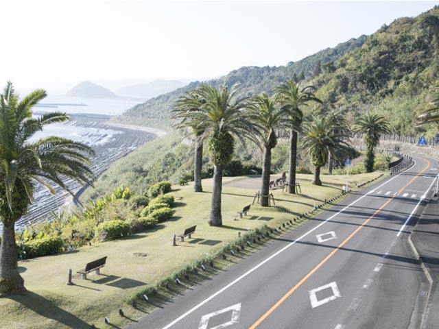 日南フェニックスロード