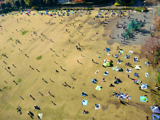 相模原麻溝公園