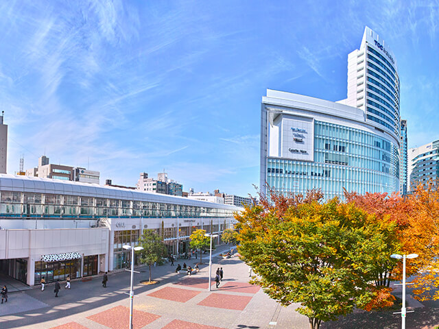 桜木町駅近くの観光情報 桜木町駅近くの観光情報