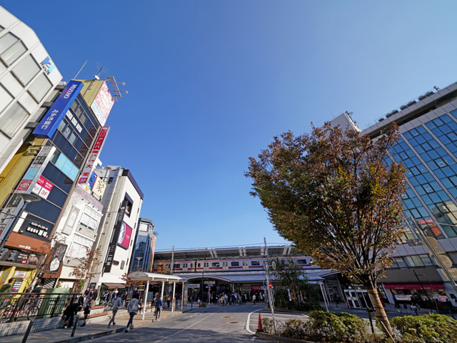 自由が丘駅近くの観光情報 自由が丘駅近くの観光情報