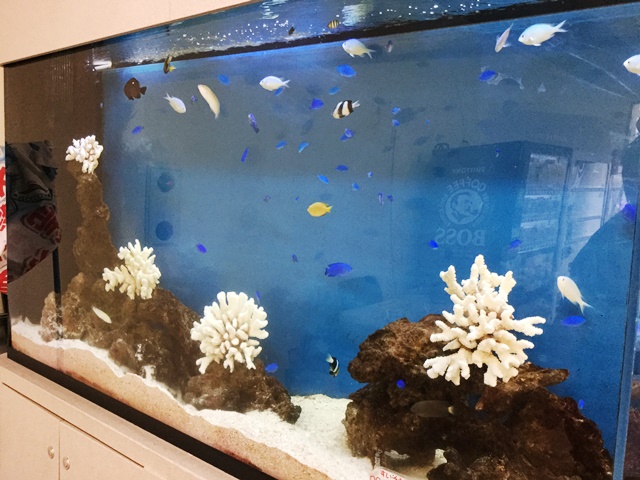 Naha Airport (International)の店舗画像