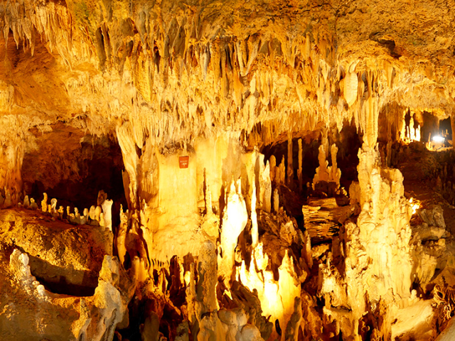 新石垣空港店 の店舗画像