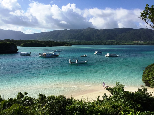 新石垣空港店 の店舗画像