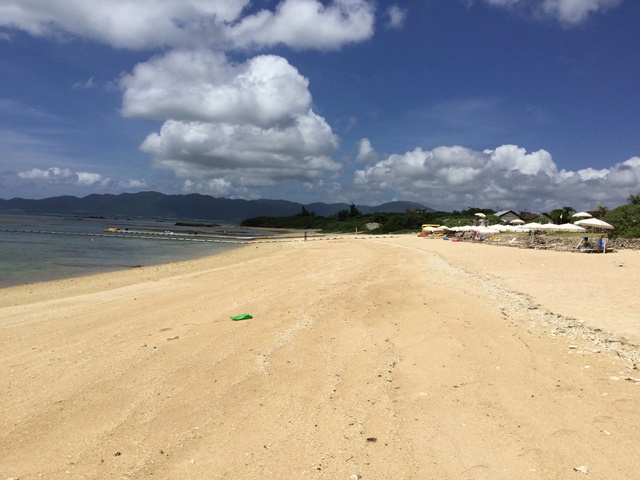 新石垣空港店 の店舗画像