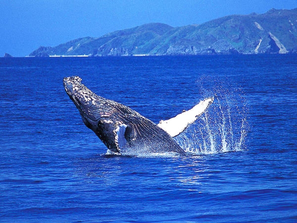 那覇空港店の店舗画像